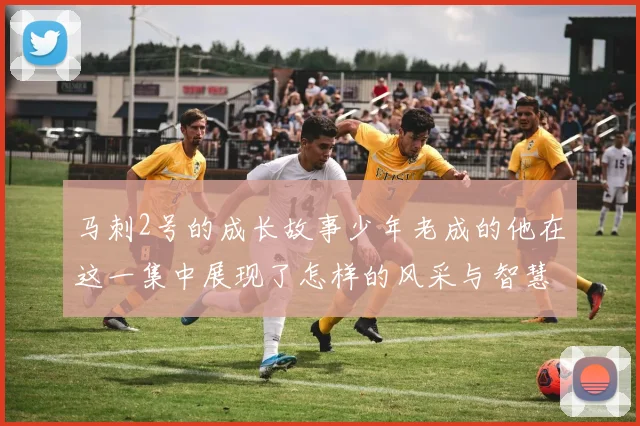 马刺2号的成长故事少年老成的他在这一集中展现了怎样的风采与智慧